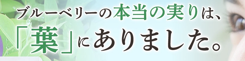 �����t���T�C�g